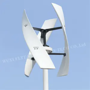Hot Koop Kleine Windgeneratoren Turbina Eolica 800W Eolienne Verticale