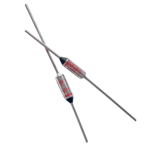 <span class=keywords><strong>Fusible</strong></span> térmico de baja capacidad de rotura de 250V 10A con alambre de plomo de Metal, carcasa de cerámica de hierro para máquina de palomitas de maíz, accesorio electrónico - Product Image 6