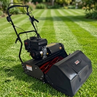 Tondeuse à gazon cylindrique mini pour terrains de football, largeur de coupe 14, 17, 20, 25 pouces
