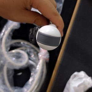 Trasduttore a ultrasuoni microconvesso con sonda Intra-cavità <span class=keywords><strong>E8C</strong></span>-RS originale nuovo strumento veterinario Logiq Voluson - Product Image 4