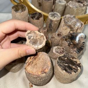 Madera Petrificada Grande y Impresionante al por Mayor, Piedra Artificial, Losa de Árbol de Jade, Especímenes de Exhibición, Decoración para Sala de Estar y Hogar - Product Image 3