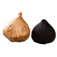 Ail noir à bulbe unique, Ail noir Solo, du fabricant d'ail noir