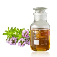 Großhandel Top Grade Thymus vulgaris Ätherisches Öl Natürliches reines Thymian öl Aroma öl für Aroma therapie Hautpflege Haarwuchs