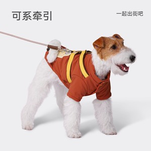 Manteau pour chien Hoopet avec laisse, rembourré, chaud, pour les sorties d'automne et d'hiver, couleur unie, vêtements rembourrés en coton - Product Image 3