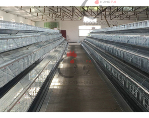 قفص دجاج بياض بنظام البطاريات من النوع A للبيع - Product Image 6