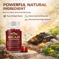 Gummies multivitaminés de beauté OEM Shilajit et Ashwagandha de l'Himalaya pour hommes et femmes, 60 unités