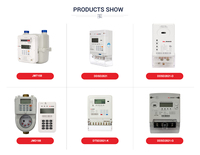 Compteur d'eau prépayé sans fil IP68 à 20 chiffres avec clavier STS, cryptage STS, avertissement de batterie faible, logiciel de distribution et conception séparée