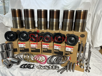Kit de révision Pièces de moteur Utilisé pour Caterpillar Cummins Isuzu Volvo Mitsubishi CAT Komatsu Yanmar Perkins Doosan Kit de réparation