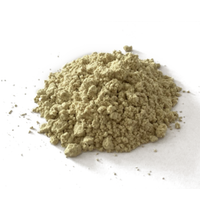 Complément alimentaire biologique en poudre de protéines de citrouille – Produits phares 2023 – Poudre de protéines de graines de citrouille