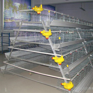 Jaula para Gallinas Ponedoras Tipo A de 3 y 4 Niveles Galvanizada por Inmersión en Caliente con Sistema de Bebedero Automático para Equipo de Granja Avícola - Product Image 5