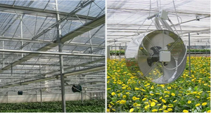 Invernadero agrícola Huayi/ventilador de ventilación para cultivo de flores adecuado para granjas de invernadero - Product Image 6