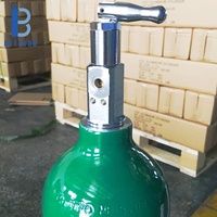 Mini M6 1L Cylindre d'oxygène médical portable en aluminium avec régulateur à index de valve 15L 25L/min, Masque à oxygène, Canule nasale, Sac