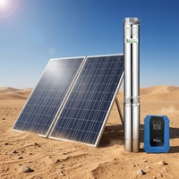 Pompe à eau solaire submersible DC 4 pouces 600W 48V en plastique sans balais pour l'agriculture et l'eau potable