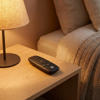 Control Remoto Universal para Hogar Inteligente con Logotipo Personalizado, Precio de Fábrica con Más de 15 Años de Experiencia - 10 Teclas IR/Bluetooth/2.4G, Diseño Personalizado