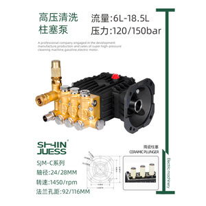 Pompe à eau électrique monophasée haute pression SJM1812 13-15L, surpresseur horizontal auto-amorçant à double cylindre alternatif - Product Image 2