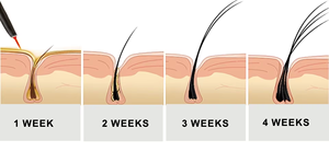Logo personnalisé organique naturel cils croissance liquide rehausseur de cils marque privée sérum cils traitements de croissance - Product Image 5