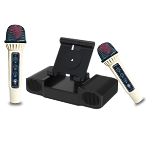 Système audio karaoké intelligent de qualité professionnelle avec effet sonore spatial KTV <span class=keywords><strong>1</strong></span>:<span class=keywords><strong>1</strong></span> - Product Image 6