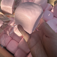 Hachimi Hawaiian Sweet Rolls, jouet moelleux à remontée lente, super doux, texture humide, simulé comme un pain de boulangerie, anti-stress à presser