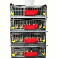 Cage à cailles et perdrix surélevée tridimensionnelle avec système automatique d'alimentation, d'abreuvement et de nettoyage des excréments