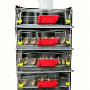 Jaula Elevada Tridimensional para Codornices y Perdices con Sistema Automático <span class=keywords><strong>de</strong></span> Alimentación, Bebederos y Limpieza <span class=keywords><strong>de</strong></span> Excrementos - Product Image 4