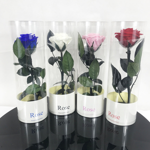 <span class=keywords><strong>Rosas</strong></span> <span class=keywords><strong>estabilizadas</strong></span> reales, flores preservadas al por mayor, hermosas <span class=keywords><strong>rosas</strong></span> preservadas con tallo eterno de <span class=keywords><strong>rosas</strong></span> - Product Image 1