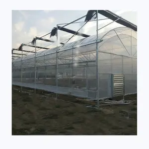 Profesional Projects Green House Agriculture Plastic Film Greenhouses For sale