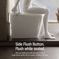 WC intelligent en céramique avec fonction de nettoyage hygiénique par pulvérisation, sans électricité, pour hôtel et salle de bain