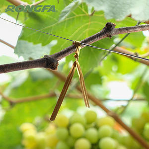 Empuñadura de papel kraft de 90 metros de longitud, amarre de cable recubierto de papel, amarre de cable en rollo, máquina para atar herramientas <span class=keywords><strong>Pellenc</strong></span> - Product Image 5