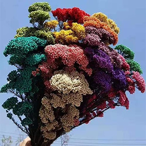 Rames de fleurs de cerisier séchées naturelles et préservées pour l'aromathérapie, <span class=keywords><strong>la</strong></span> photographie, les mariages, <span class=keywords><strong>la</strong></span> décoration de <span class=keywords><strong>la</strong></span> maison et du bureau - Product Image 4
