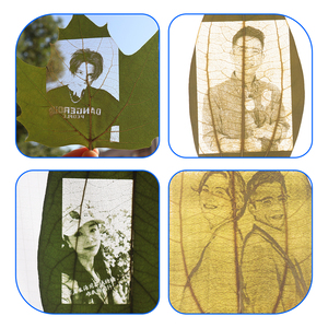 Perfect <span class=keywords><strong>Laser</strong></span> 10W Petite machine de gravure et de marquage <span class=keywords><strong>laser</strong></span> bleue automatique portable pour feuilles, nouvelle, facile à utiliser, compatible DXF - Product Image 4