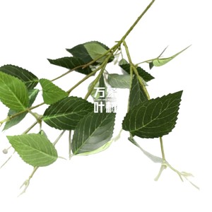 Hojas de Rosa Artificiales, Rama de Plástico Verde, Decoración para el Hogar, Ramo - Product Image 5