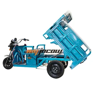 Hot Sale Electric Tricycle Adult 3 Wheel Three Wheels Dump Vehicles Suppliers for Electric Tricycles