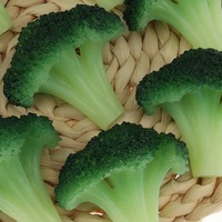 Topkwaliteit Kunstmatige Groene Broccoli Slice Decoratie Kunstmatige Groente Voor Thuis Keuken Winkel Leren Voedsel Model