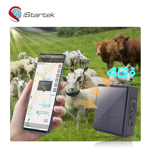 IP67 Waterproof Pet Cows Dog Collar Mobile Phone Mini 2g 4g 5g Lte tracker Cat-m1 Cattle Gps Tracking Solar Tracker