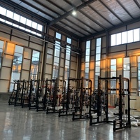 Entraîneur de gymnastique professionnel Smith Machine Station multifonctionnelle pour la musculation musculation bras exercice Squat Rack