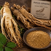 Extrait de Ginseng Panax Naturel en Poudre Qualité Alimentaire Rapport 10:1 Emballé Sous Vide pour l'Énergie