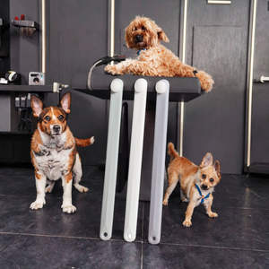 Brosse à dents pour <span class=keywords><strong>animaux</strong></span> de compagnie, poils souples et flexibles, expérience de nettoyage confortable pour les <span class=keywords><strong>animaux</strong></span> - Product Image 3