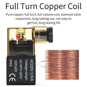 2v025-08 <span class=keywords><strong>2</strong></span>-Poort <span class=keywords><strong>2</strong></span>-Positie 1/4 \ "Bsp Magneetventiel Normale Sluiting Draad Lood Spoel Piloot Aanpasbare Basis Media Control - Product Image 4