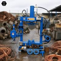 Máquina Eléctrica Hidráulica QDLSF para Desforrar Cables de Cobre, Desmantelamiento de Motores, Separador de Cobre y Aluminio, Prensa Extractora OEM ODM