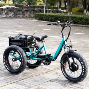 Tricycle électrique pour adultes 350W 36V 7 vitesses Tricycle électrique motorisé trois roues vélo électrique avec grand panier