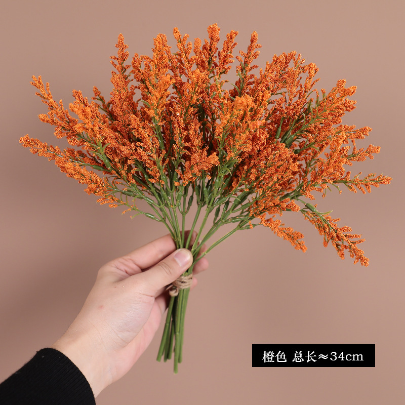 couleur orange