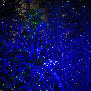 Luces de Navidad al aire libre Laser Firefly 5 Watt Luz láser blanca Estrella amarilla Luces de jardín para hilo Decoración al aire libre - Product Image 1