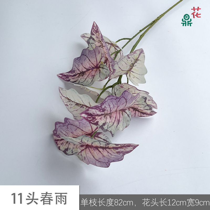 11 Spring Rain JH Rose violacé