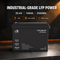 Batterie LiFePO4 LFP CFE-2560 SE 25,6V 100Ah avec BMS IP65, 3000 cycles, pour onduleur Victron Energy, solaire, marine, et alimentation de secours solaire