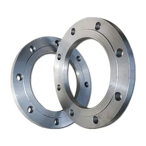 Pipe Fittings Forged Carbon Steel Stainless Steel Large Butt Welded Flat Flange