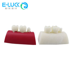 Impilamento di resina dentale blocchi di esercizio per otturazioni canalari esercizio medico esame modelli di formazione Endo blocco - Product Image 2