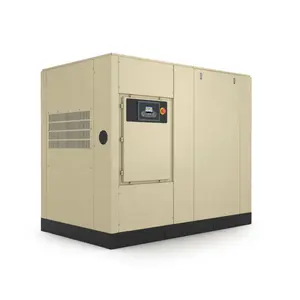 Ingersoll Rand noi compressore d'aria a scorrimento Oil-free WE2-8C EAS WE2-10C EAS