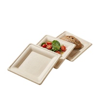 Assiette carrée jetable en bagasse écologique, coins arrondis, biodégradable, compostable, imperméable, sans danger pour les aliments, pour l'emballage alimentaire