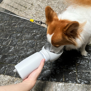 Eco-Friendly Multifunctional Pets Portable Multi-color Travel Outdoor Use Collapsible Silicone <b>Dog</b> <b>Water</b> <b>Bottle</b> <b>for</b> <b>Dogs</b> Cats - Product Image 2