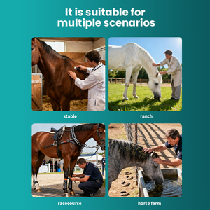 Peralatan Fisioterapi Terapi Ultrawave Konstruksi Logam Garansi 1 Tahun untuk Rehabilitasi Hewan Pengelolaan Nyeri - Product Image 5